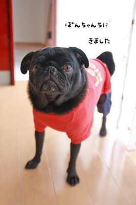 ウフ♪おじゃまします
