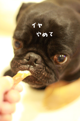 目が。