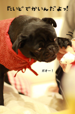 手がこわいよ!