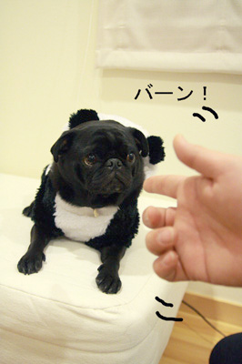撃ちましたよ。