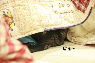隙間からー