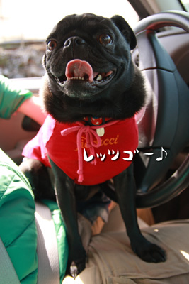 昨日は・・・♪