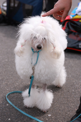 ルーシーちゃん