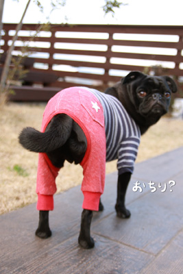 おちりも強調されてます