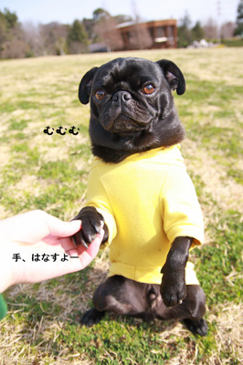 ちんちん(ベック)の練習です