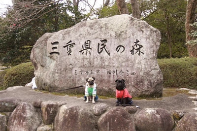 三重県にきました。