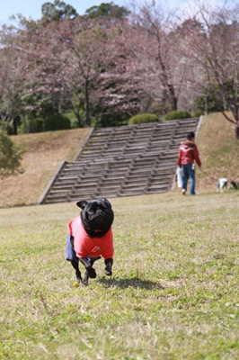 広いです♪