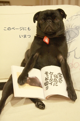 こちらのページにも♪