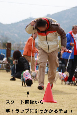 やっぱり?