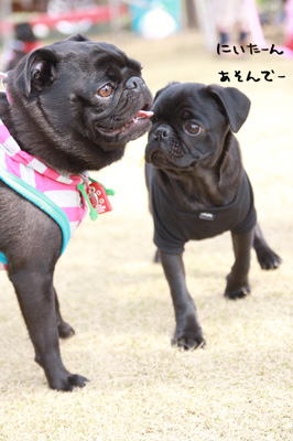 今回のベストショット!