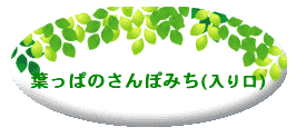 葉っぱ