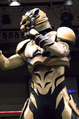 劇場版 タイガーマスク １１月９日よりロードショー プロレス マスク ワールド Tiger Arts Mask Bankブログ