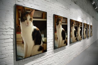 decojiro-20110809-023309.jpg