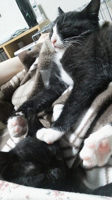 s-2012060319340000.jpg