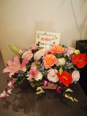 s-P9211275.jpg