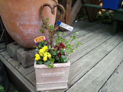 寄せ植え3