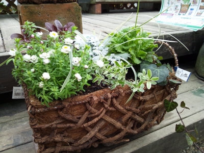 寄せ植え4