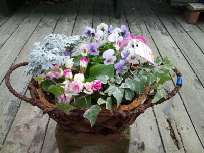 寄せ植え5