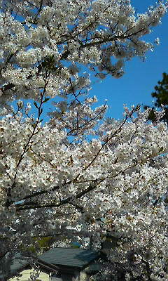 200904060849000.jpg