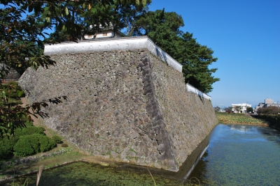 DSC_0009.JPG