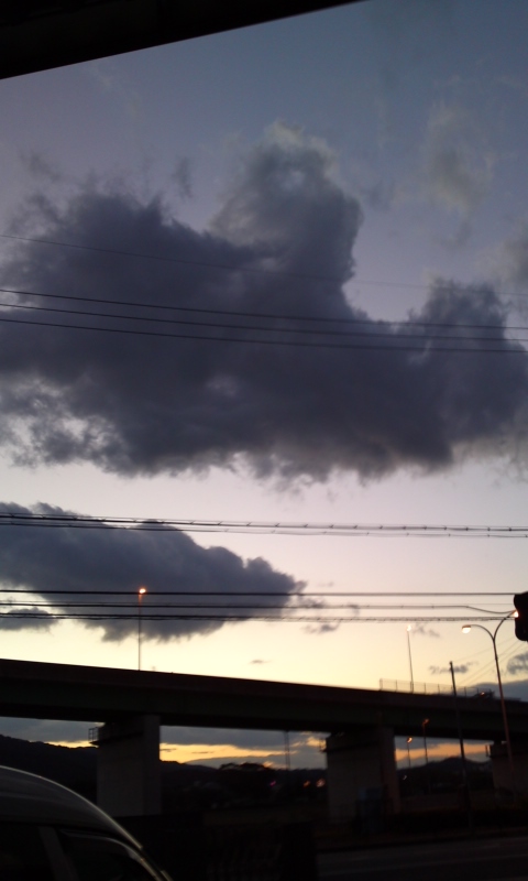 101109_1707~01.jpg