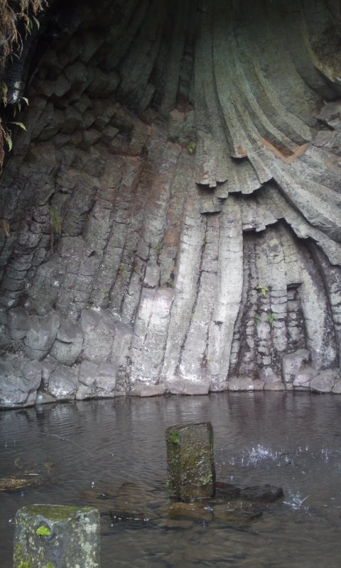 mini_101229_1238.jpg