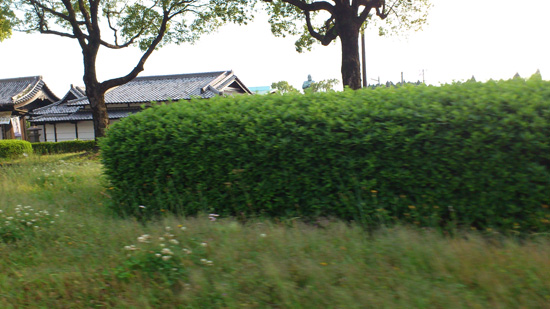 DSC_0769.jpg