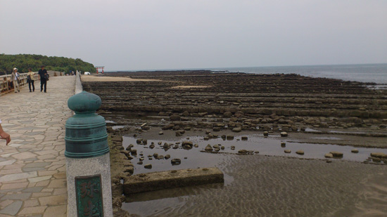 DSC_0859.jpg