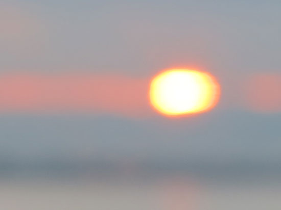 IMG_6207.jpg