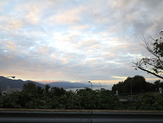 IMG_6541.jpg