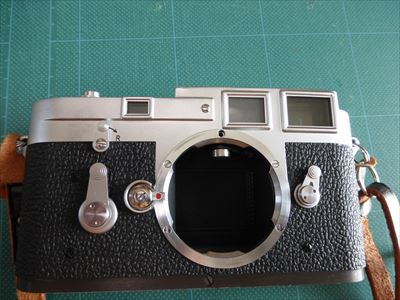 m319