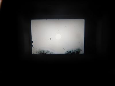 OM107