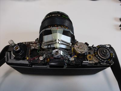 OM116