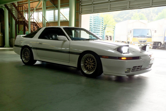 SUPRA¼èºà?.jpg
