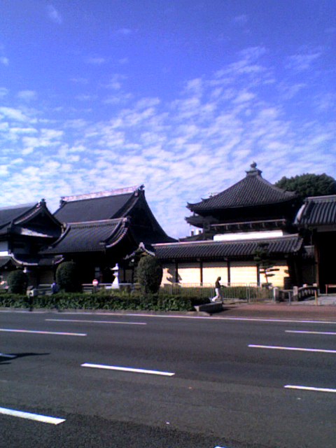 20061026_271802.jpg