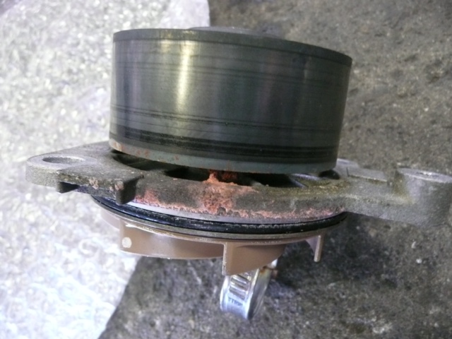 image7.JPG