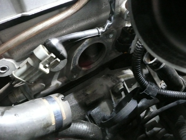 image10.JPG