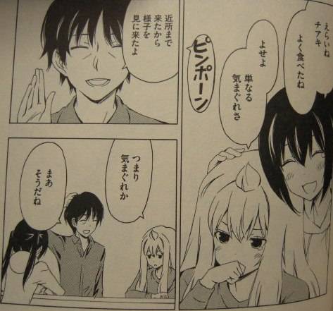 みなみけ10