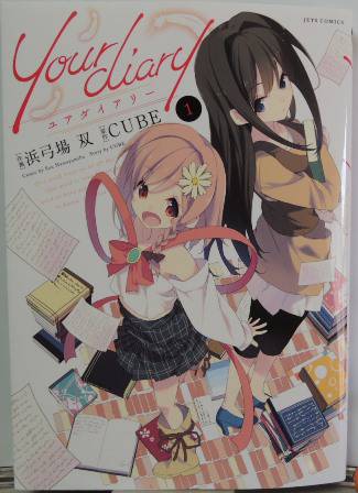 your diary1