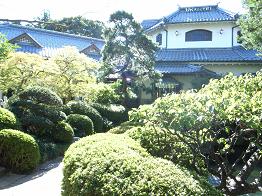 てっちゃんめぐちゃん結婚式 ビスコ日記