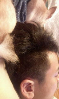 20110921222030.jpg