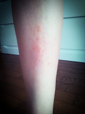 お次は ビスコ日記