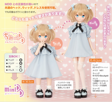 VOLKS NEWS ～AUTUMN 2023～ -1- | 薔薇と仔猫とうさぎのしっぽ
