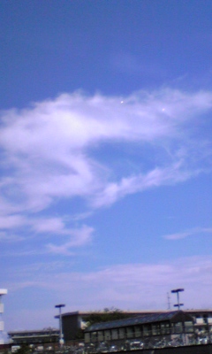 080814_094555.jpg
