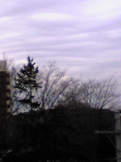 090303_103734.jpg