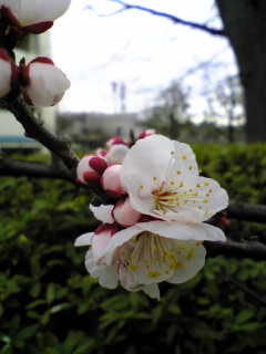 090303_110601.jpg