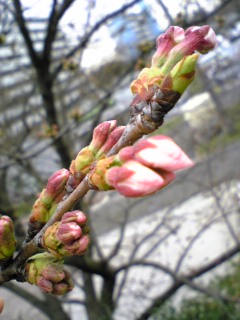 090324_084842.jpg