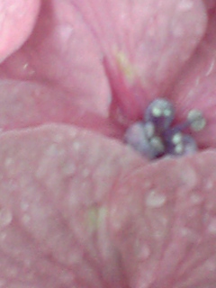 090621_075923.jpg