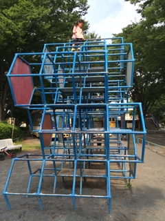 iPhoneImage.png