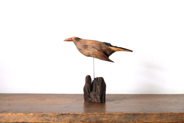 針原修「流木の鳥」 | classico ｜ blog